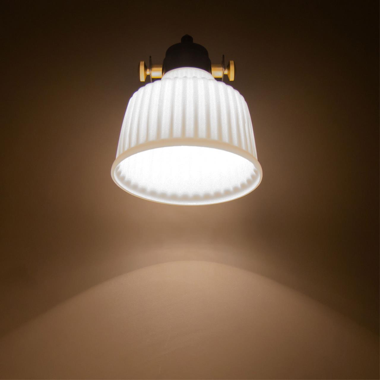 Спот Citilux Спенсер CL448312