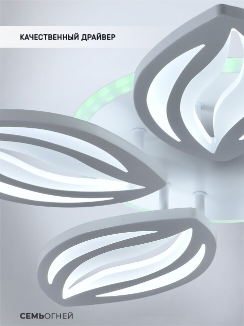 Потолочная люстра Seven Fires Arain SF5044/6C-WT-RGB