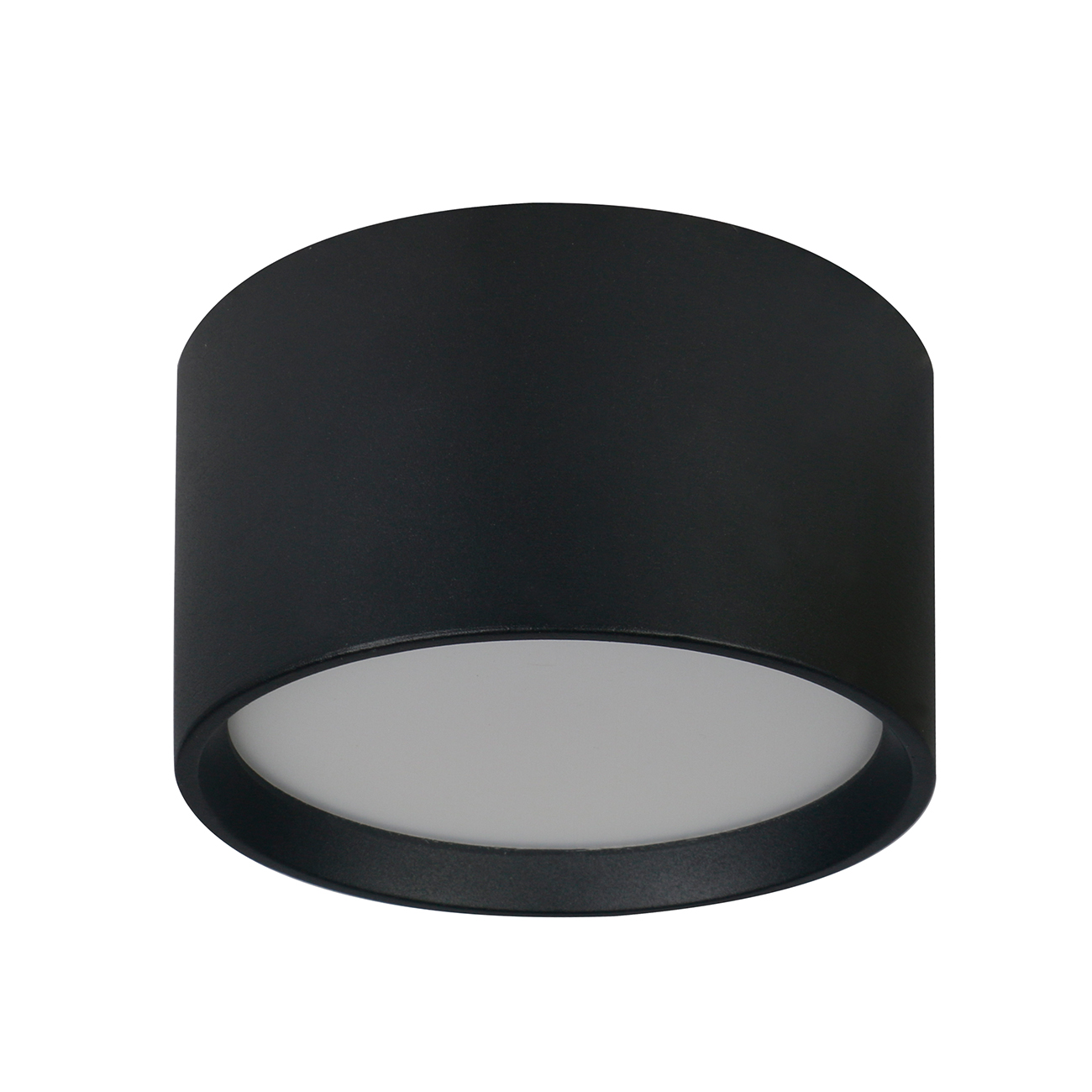 Потолочный светильник Escada 20005SMU/02LED SBK