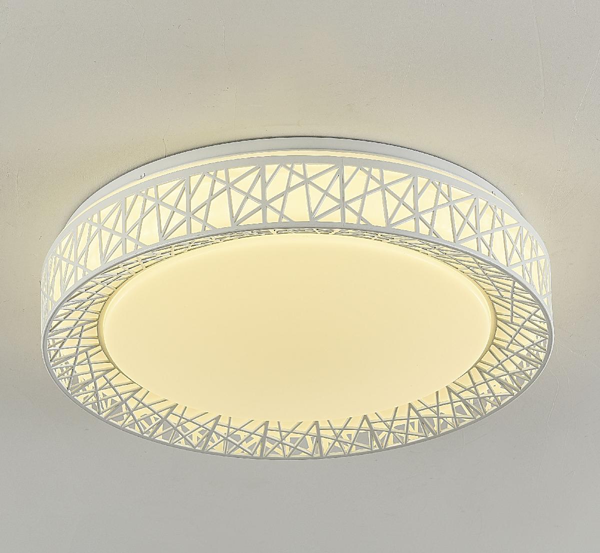 Потолочный светодиодный светильник F-Promo Creatura 2314-5C