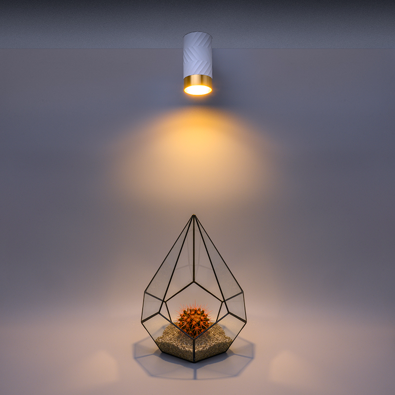 Накладной светильник Wolta Linea WSL-GU10/09WG