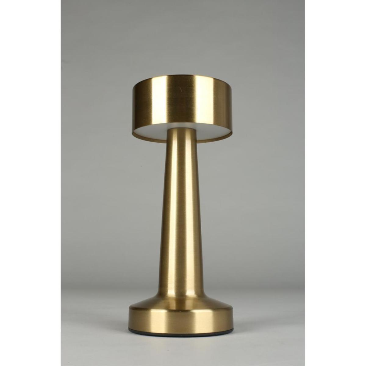 Настольная лампа Aployt Perrayn APL.671.04.01