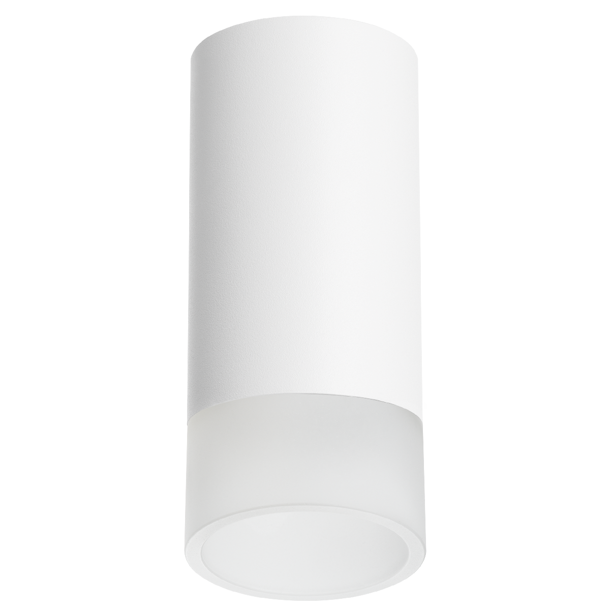 Накладной светильник Lightstar Rullo R43631 (214436+202431)