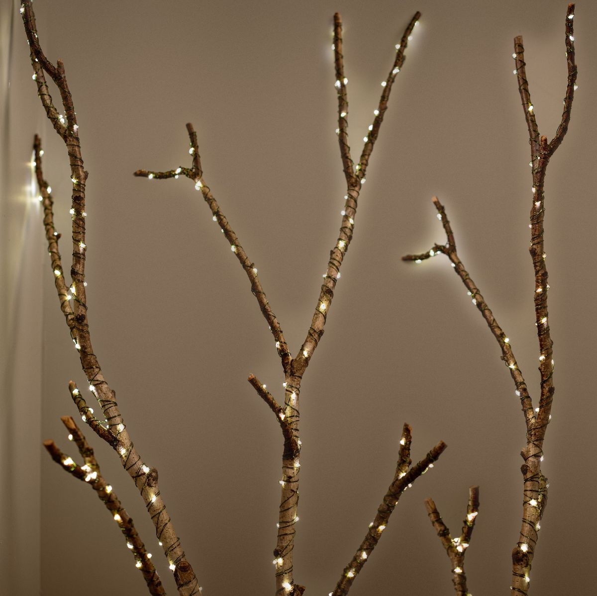 Светодиодная гирлянда Эра ENIN-1000G Б0060427