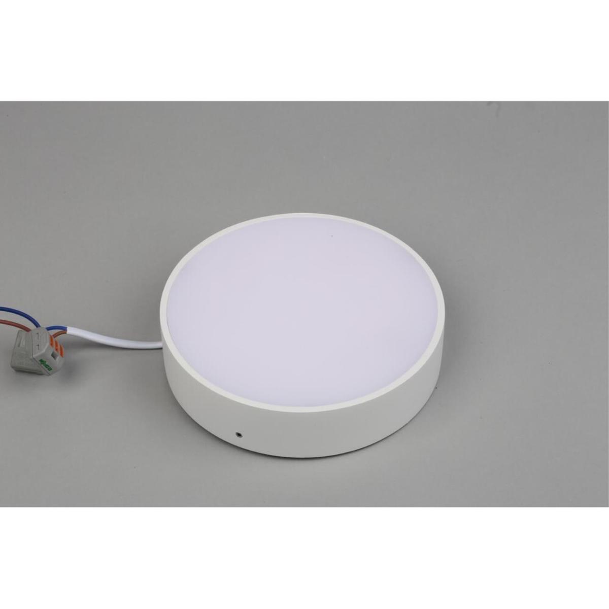 Потолочный светильник Aployt Evon APL.0114.09.18