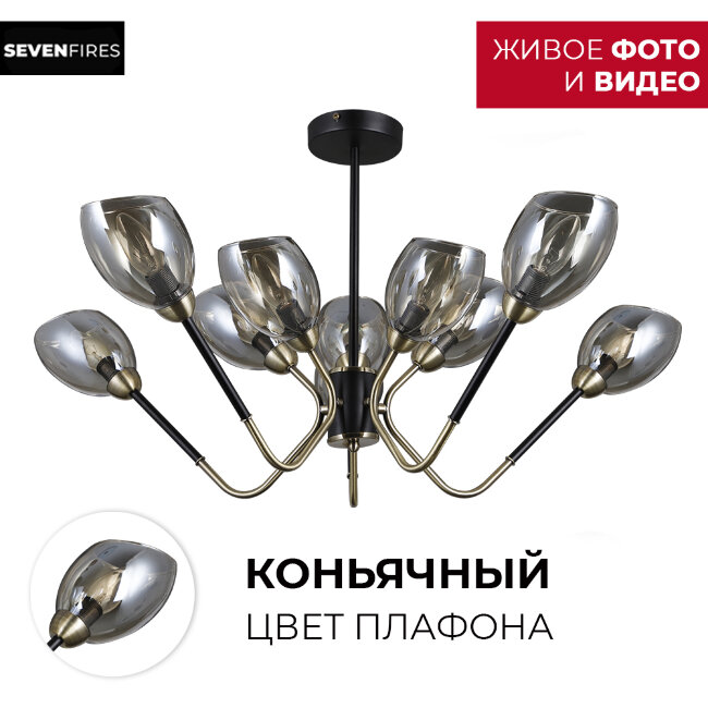 Люстра на штанге Seven Fires Rodengo SF4008/10C-BK-AB