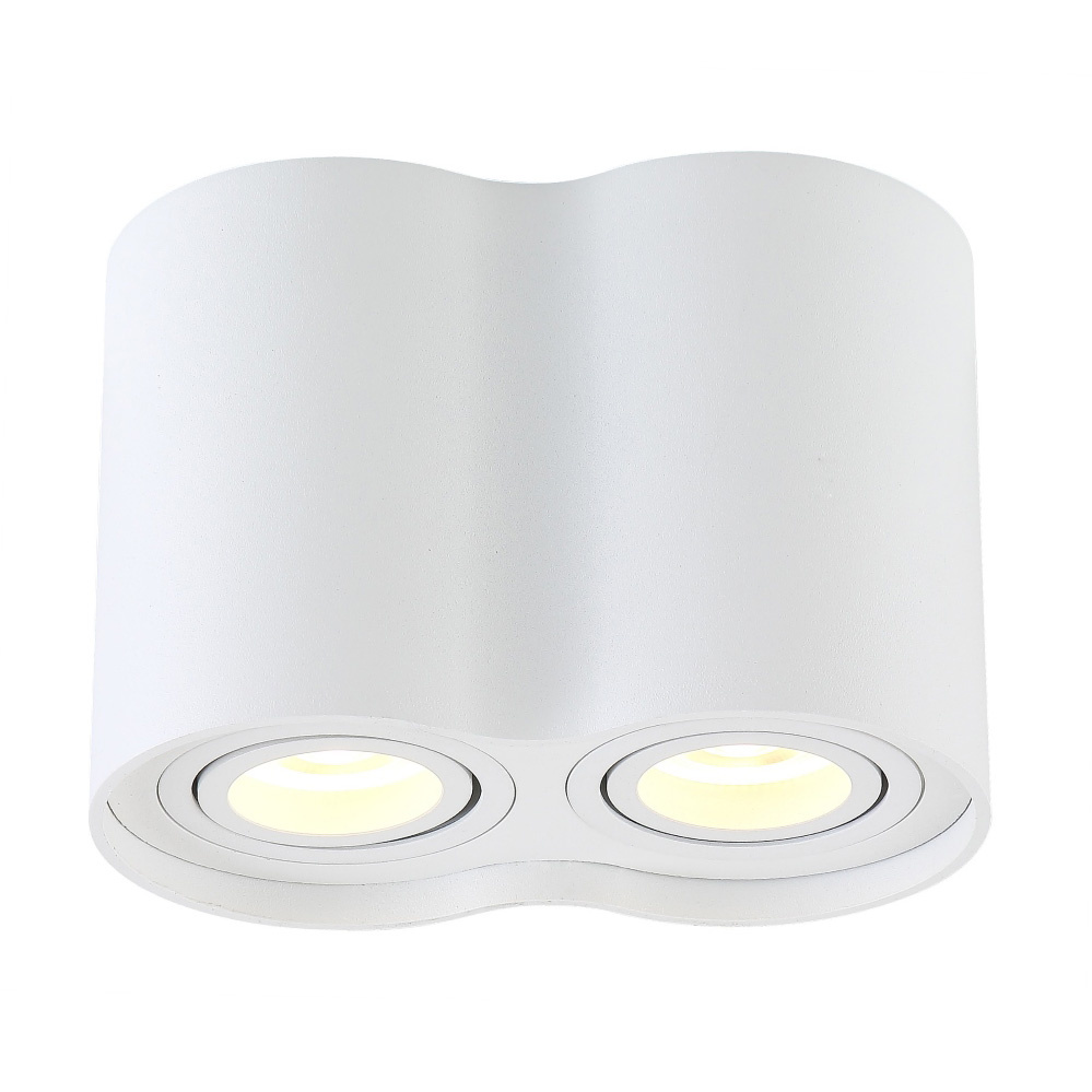 Потолочный светильник Crystal Lux CLT 410C2 WH