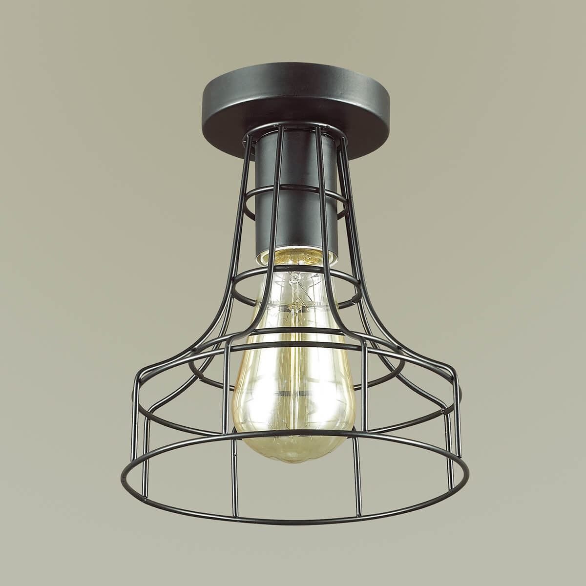 Потолочный светильник лофт Lumion Alfred 3639/1C