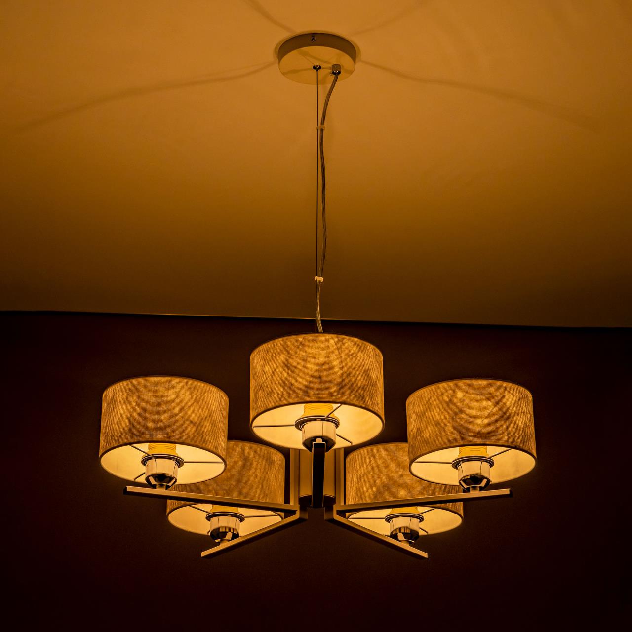 Подвесная люстра Citilux Тильда CL469150 в Москве