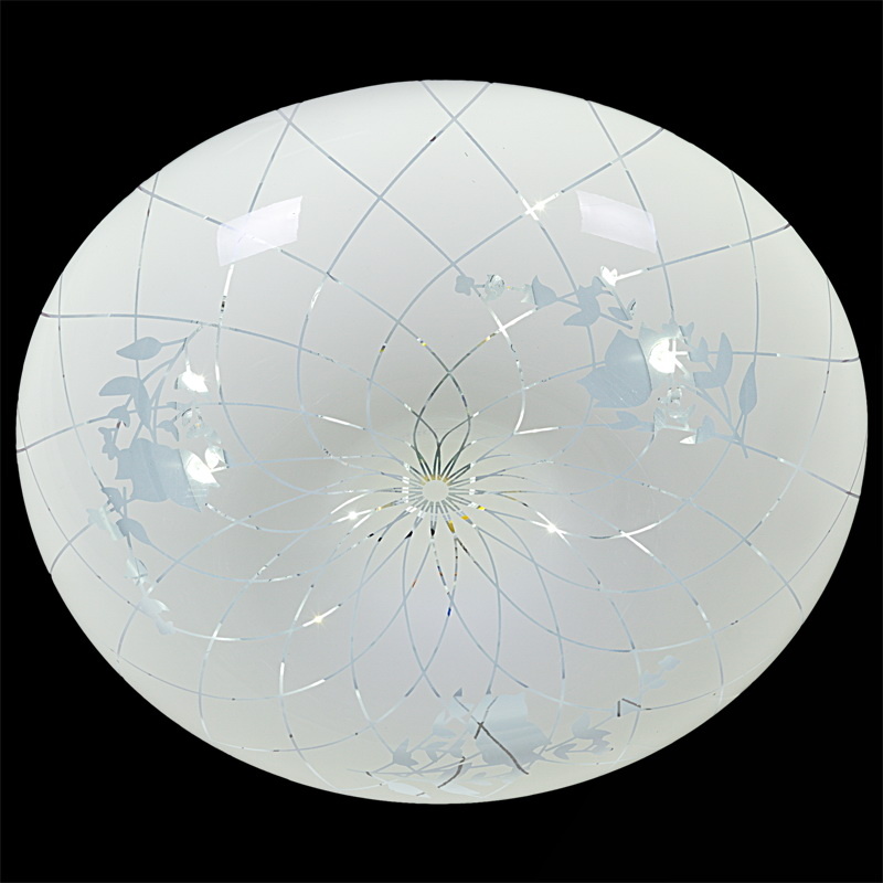 Потолочный светильник Reluce 03651-9.2-24W*2