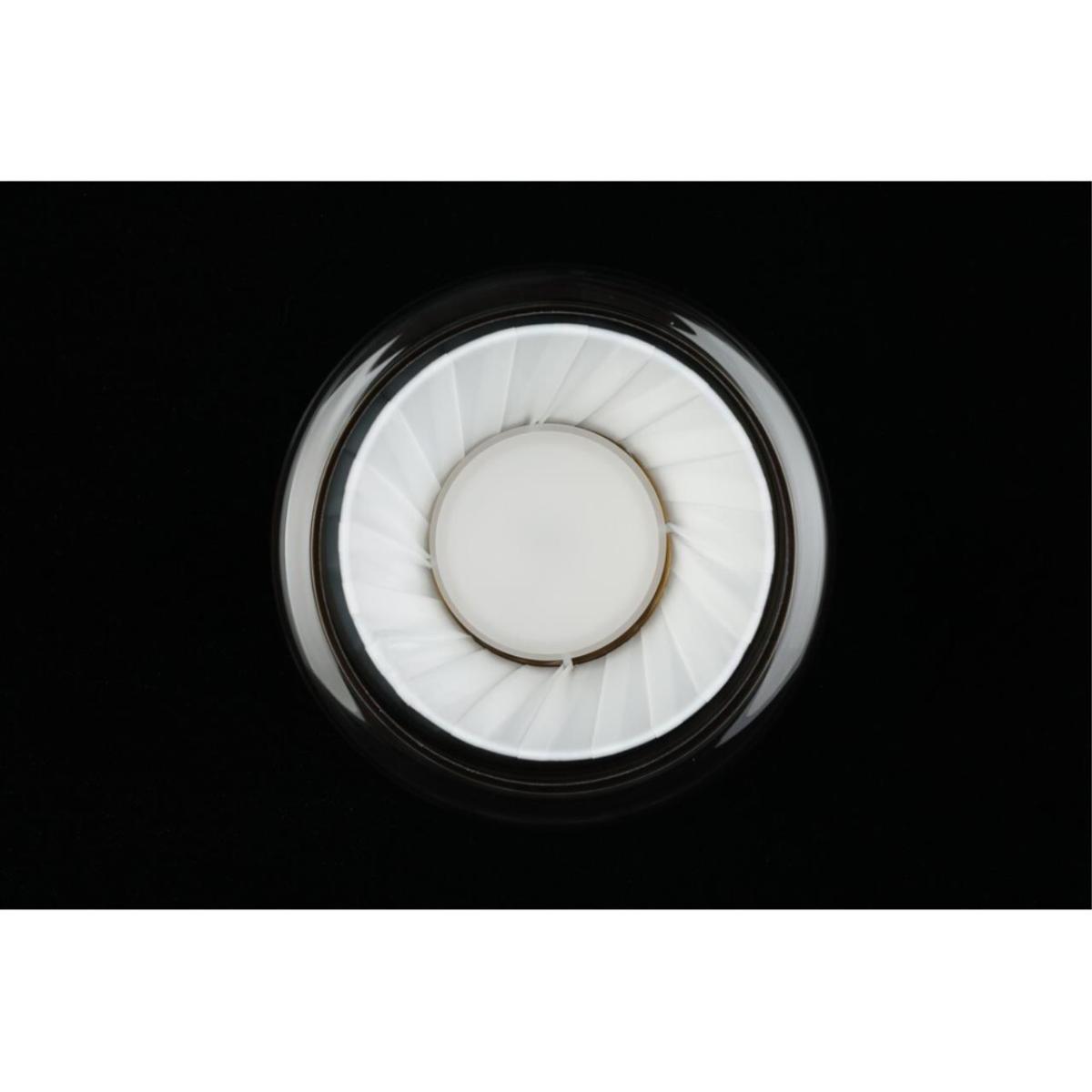 Потолочный светильник Aployt Zhyuli APL.089.17.08