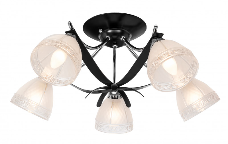 Потолочная люстра Silver Light Katarini 221.59.5