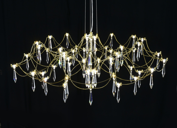 Подвесная люстра с пультом Myfar Ersilia MR2663-60P-76AP