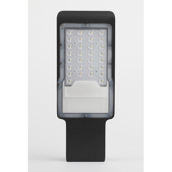 Уличный светильник Эра SPP-503-0-30K-080 Б0051837