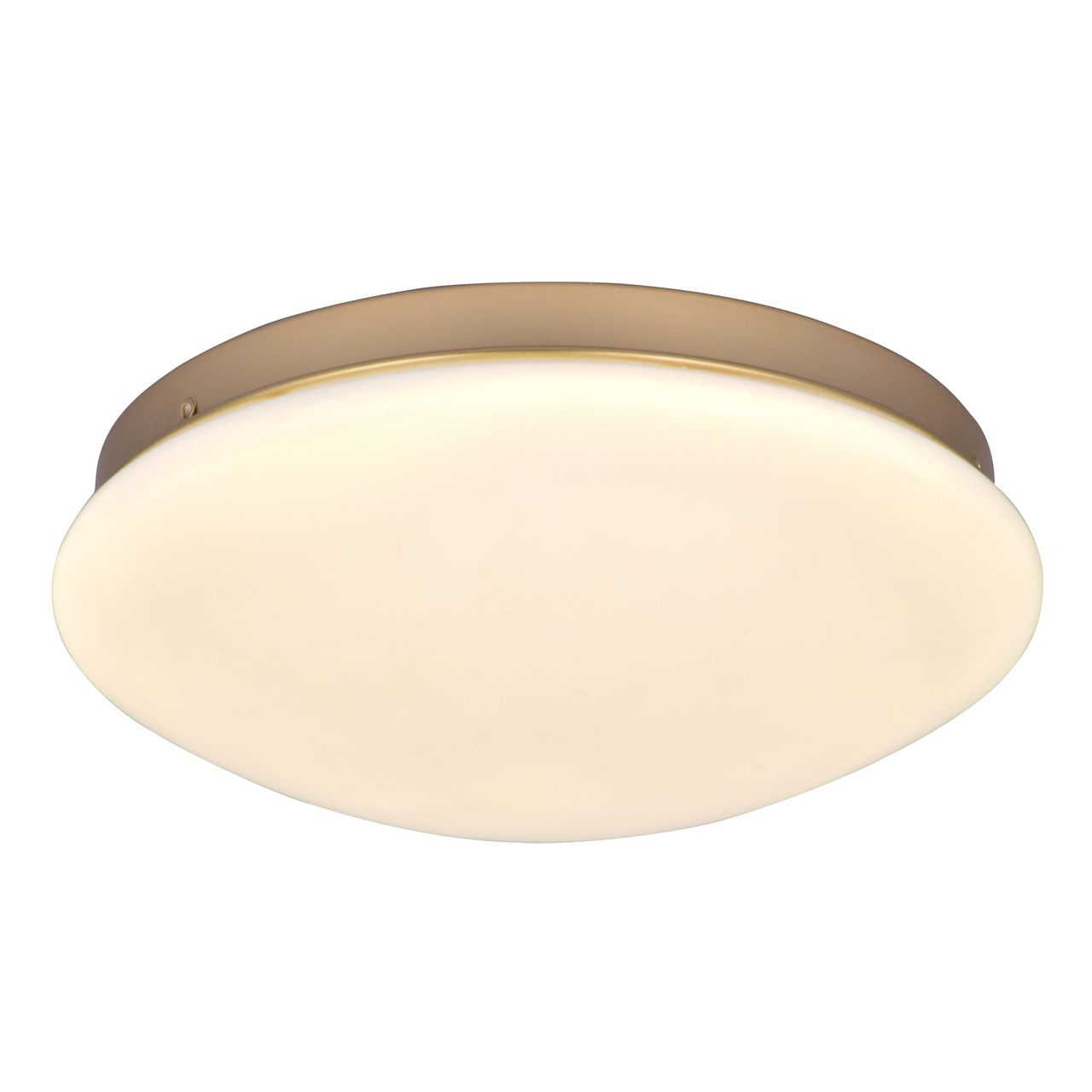 Потолочный светодиодный светильник F-Promo Ledante 2466-2C