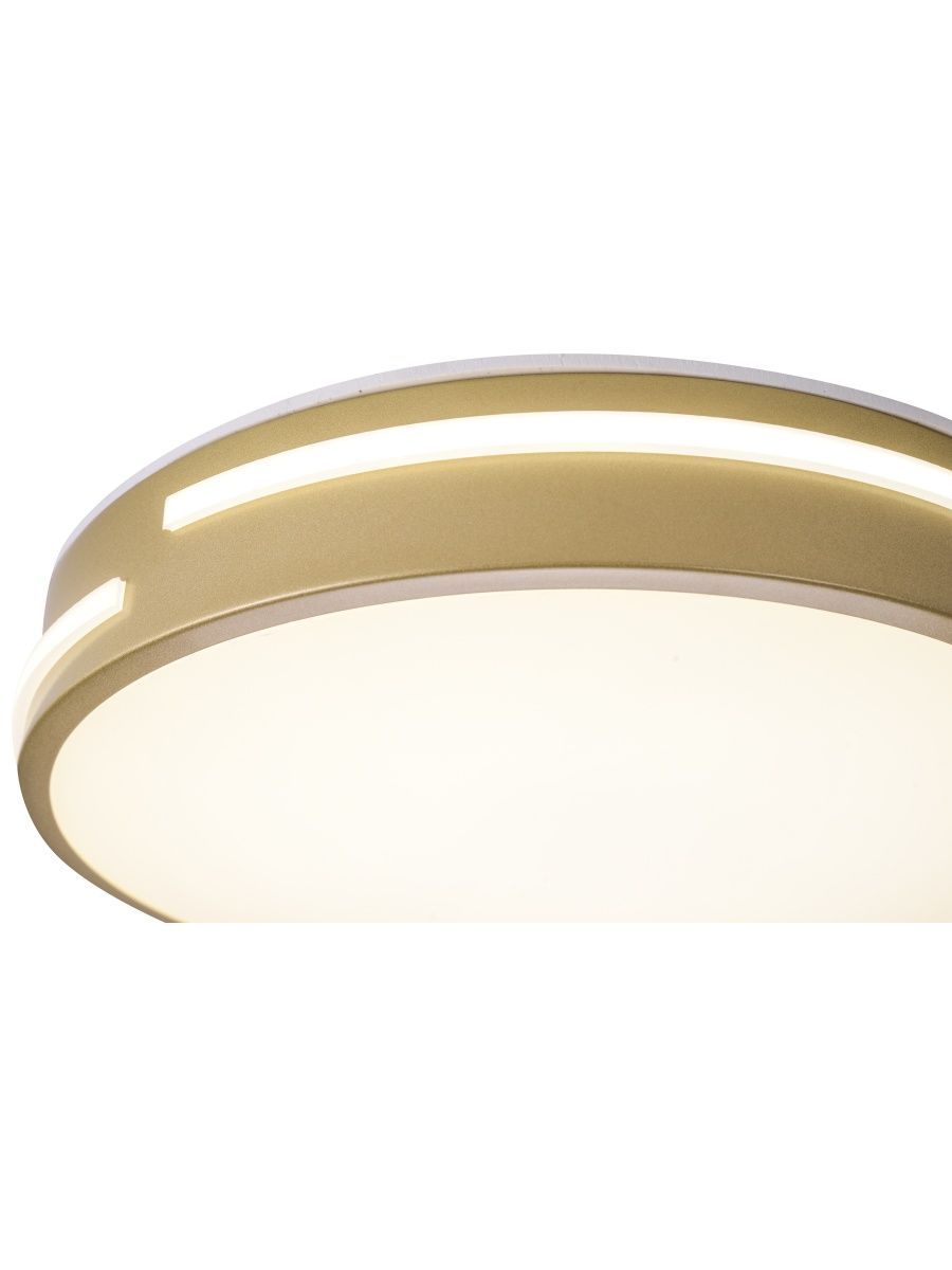 Потолочный светильник Zortes Gabby ZRS.90610.30