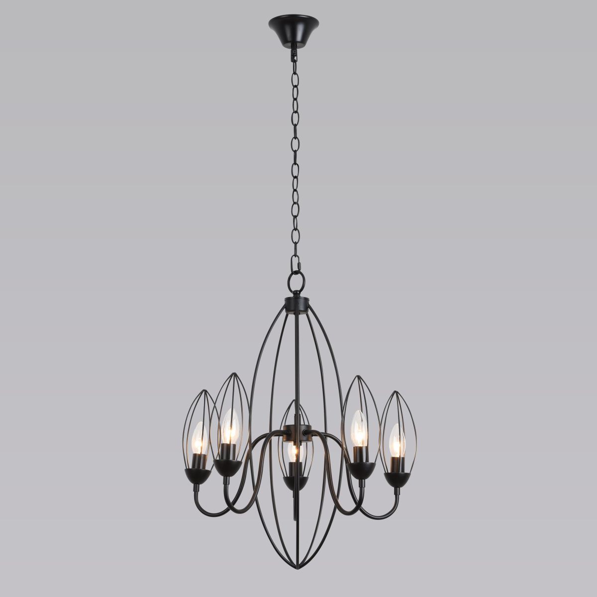 Подвесная люстра Alfa Light F3524-01