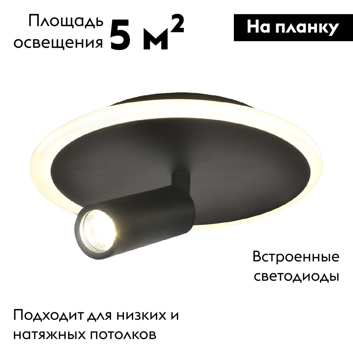 Настенно-потолочный светильник Escada 20046SMA/01LED BK