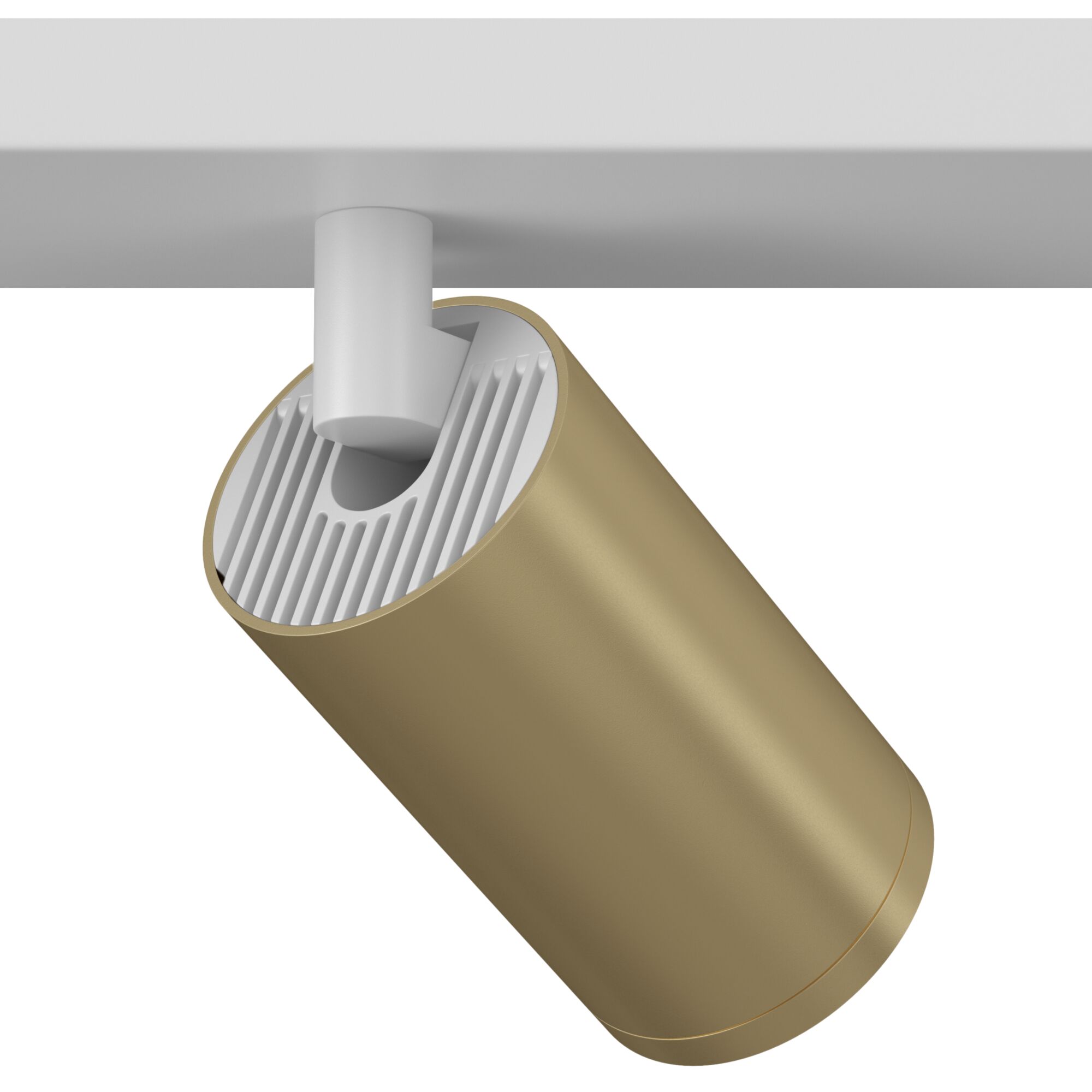 Спот Maytoni FOCUS S C051CL-2WMG