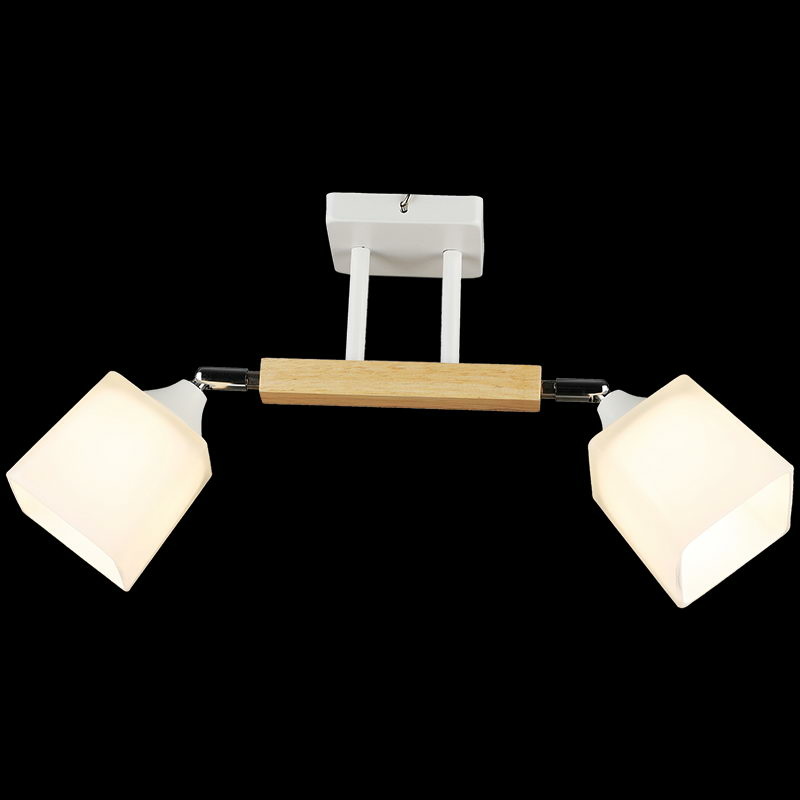 Спот Reluce 04719-0.3-02