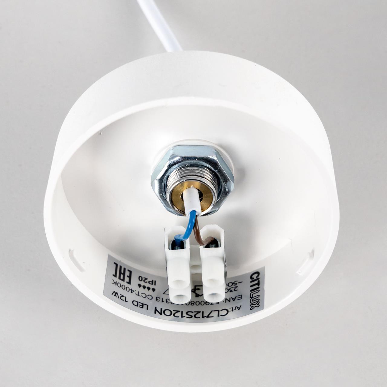 Подвесной светильник Citilux Тао CL712S120N в Москве