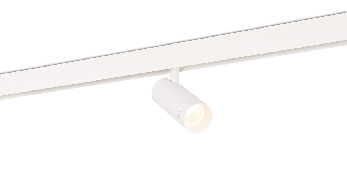 Трековый светильник Donolux Alpha DL20295TW20WTuya