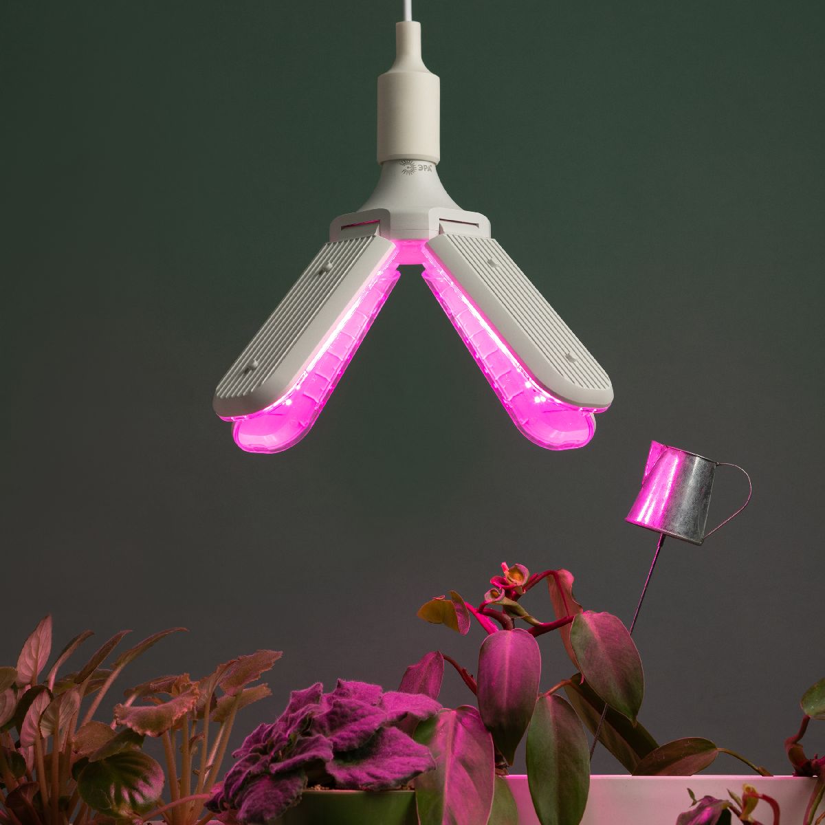 Фитолампа для растений красно-синего спектра Эра ФИТО-40W-PL-E27-GR Б0064525