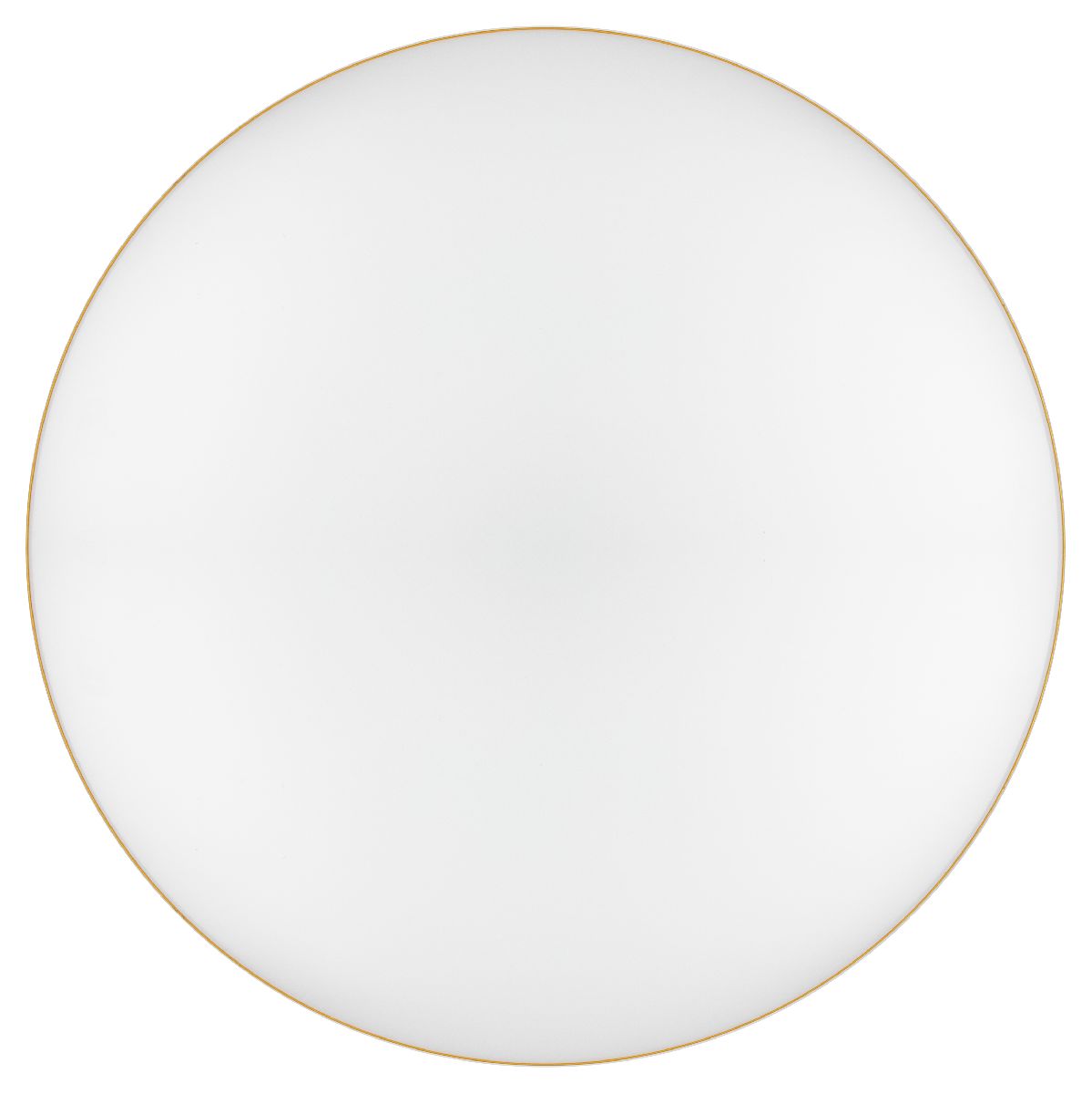 Потолочный светильник Эра Relict 48 Pult SPB-6-60-RC MG Б0059498