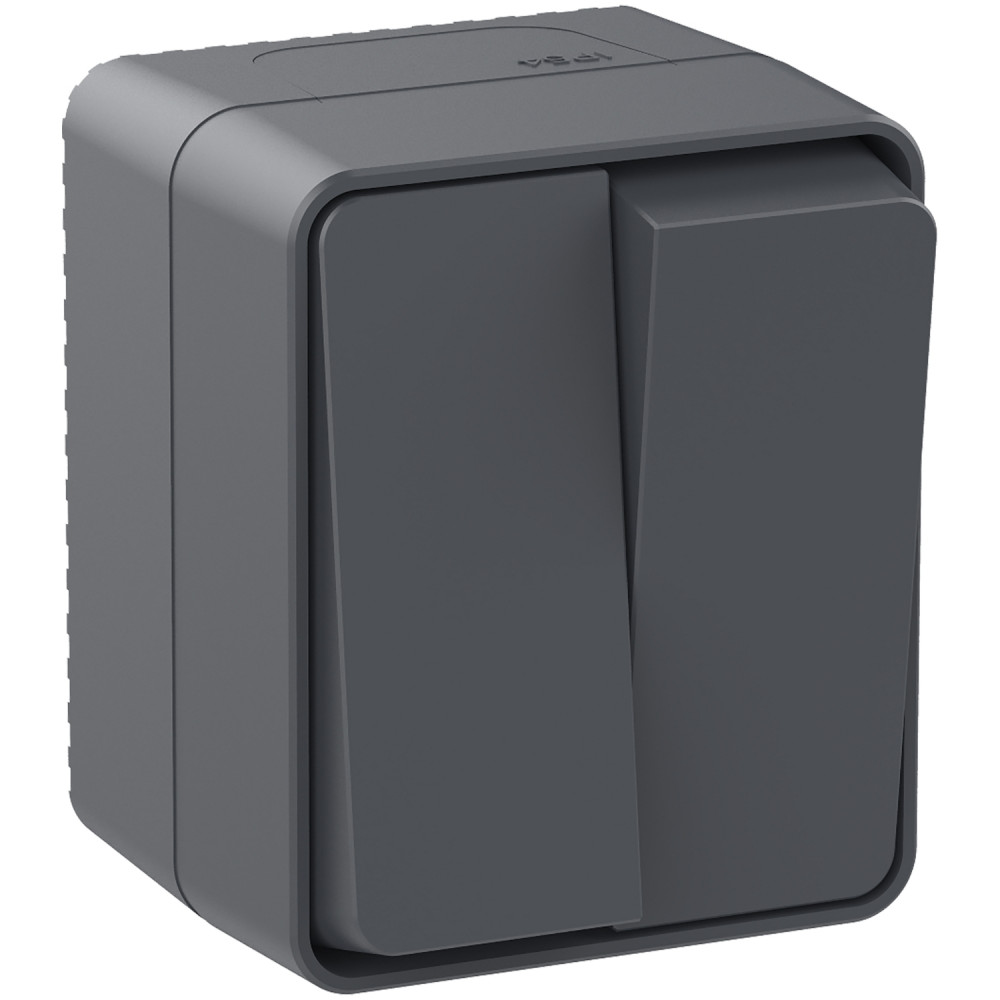 Выключатель 2-клавишный Systeme Electric AtlasDesign Profi54 Наруж Антрацит ATN544051