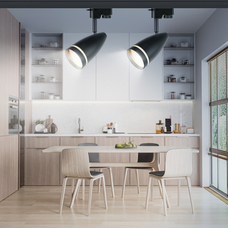 Трековый светильник Эра TR49 - GU10 BK Б0054162