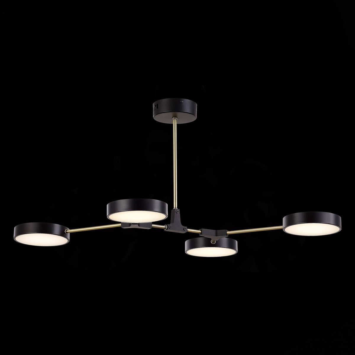 Потолочный светильник Evoluce Monta SLE6004-402-04