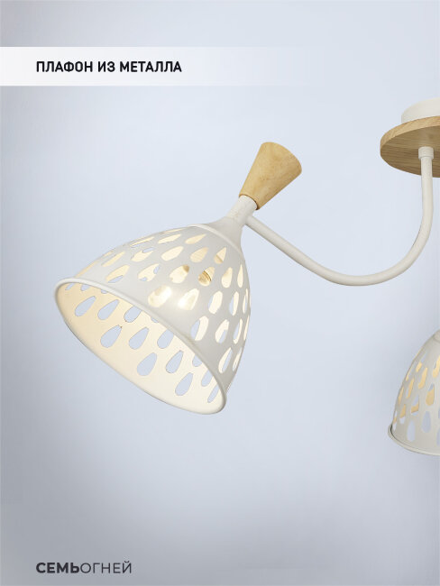 Потолочная люстра Wedo Light Gudi 66656.01.09.03