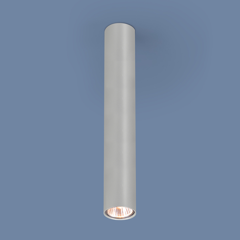 Потолочный светильник Elektrostandard 5473 SL серебро 5903139547390