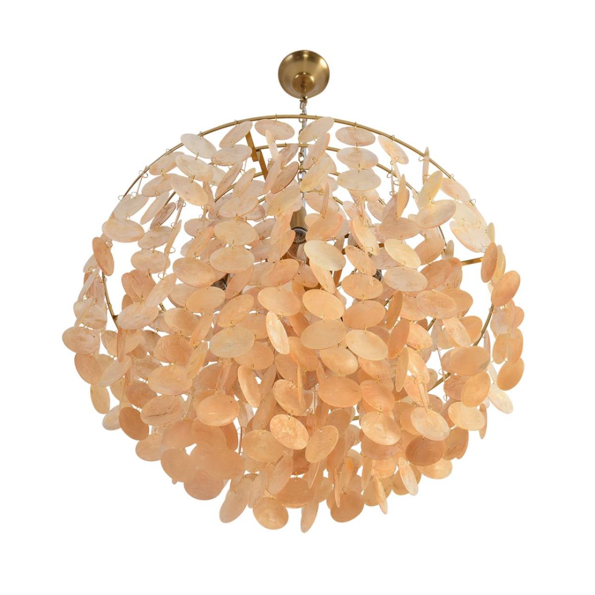 Подвесная люстра Lumion Moderni Shella 8386/6