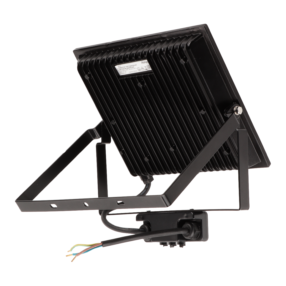 Прожектор Ritter Profi 53424 6