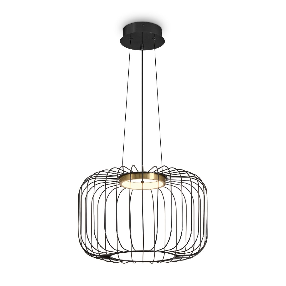 Подвесной светильник кольцевой кольцо Freya Citrus FR5398PL-L8B