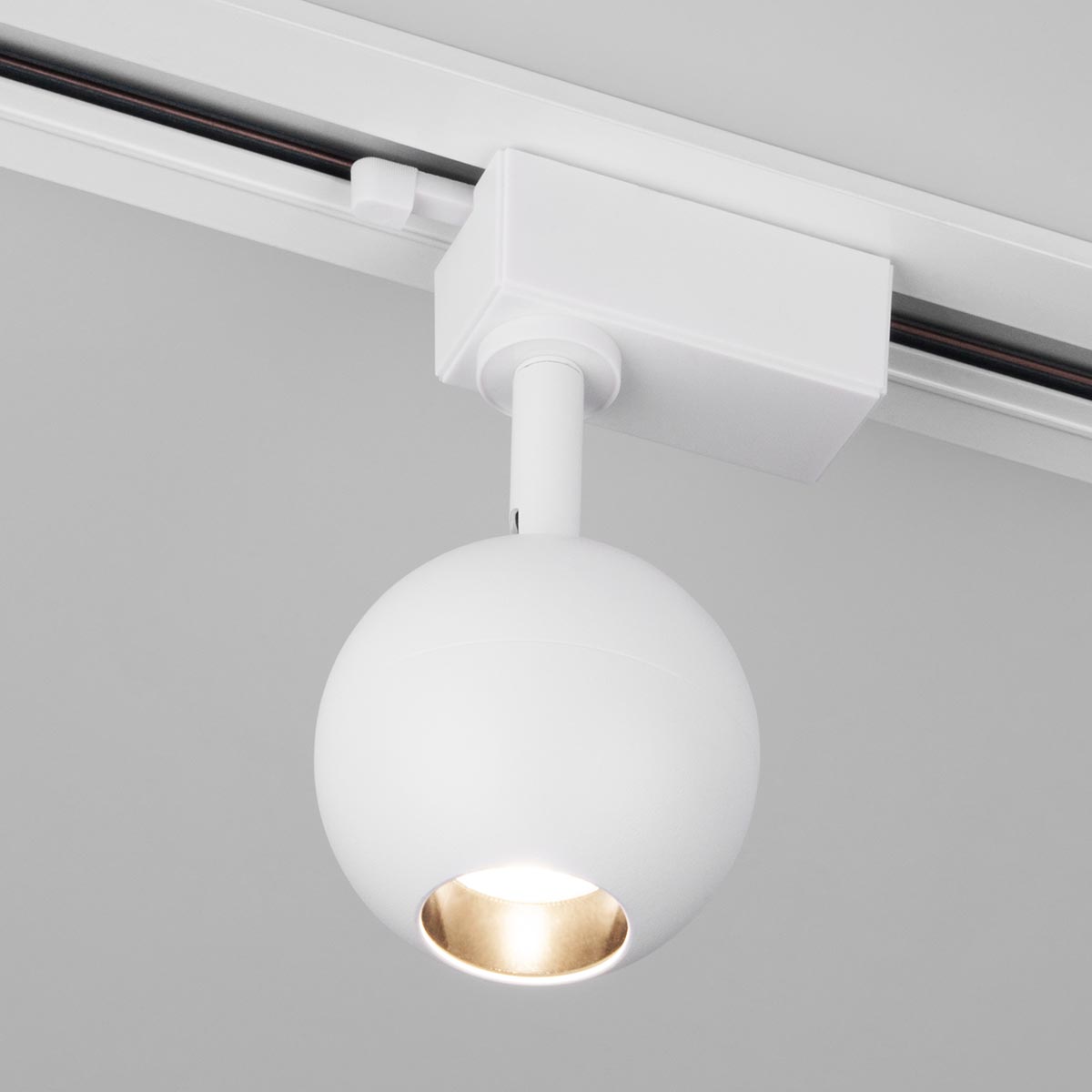 Трековый светильник Elektrostandard Ball 4690389169861