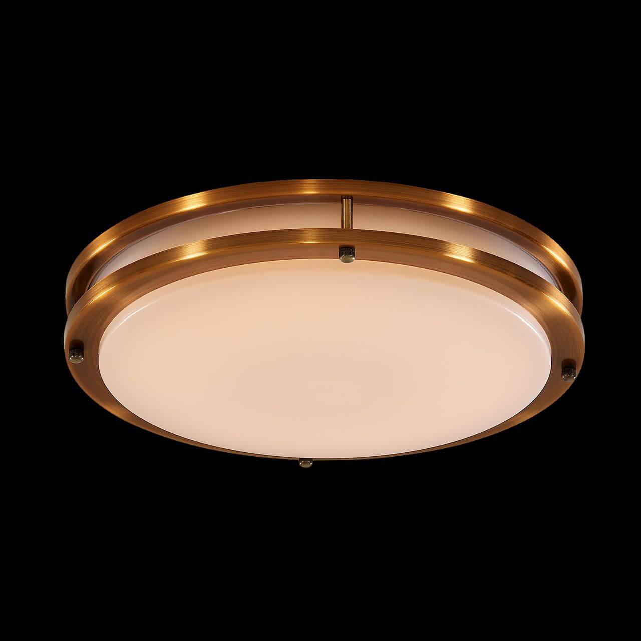 Потолочный светодиодный светильник Citilux Бостон CL709403