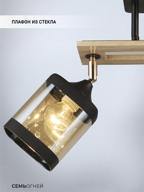 Потолочная люстра Wedo Light Sterr WD3507/3C-BK-AM