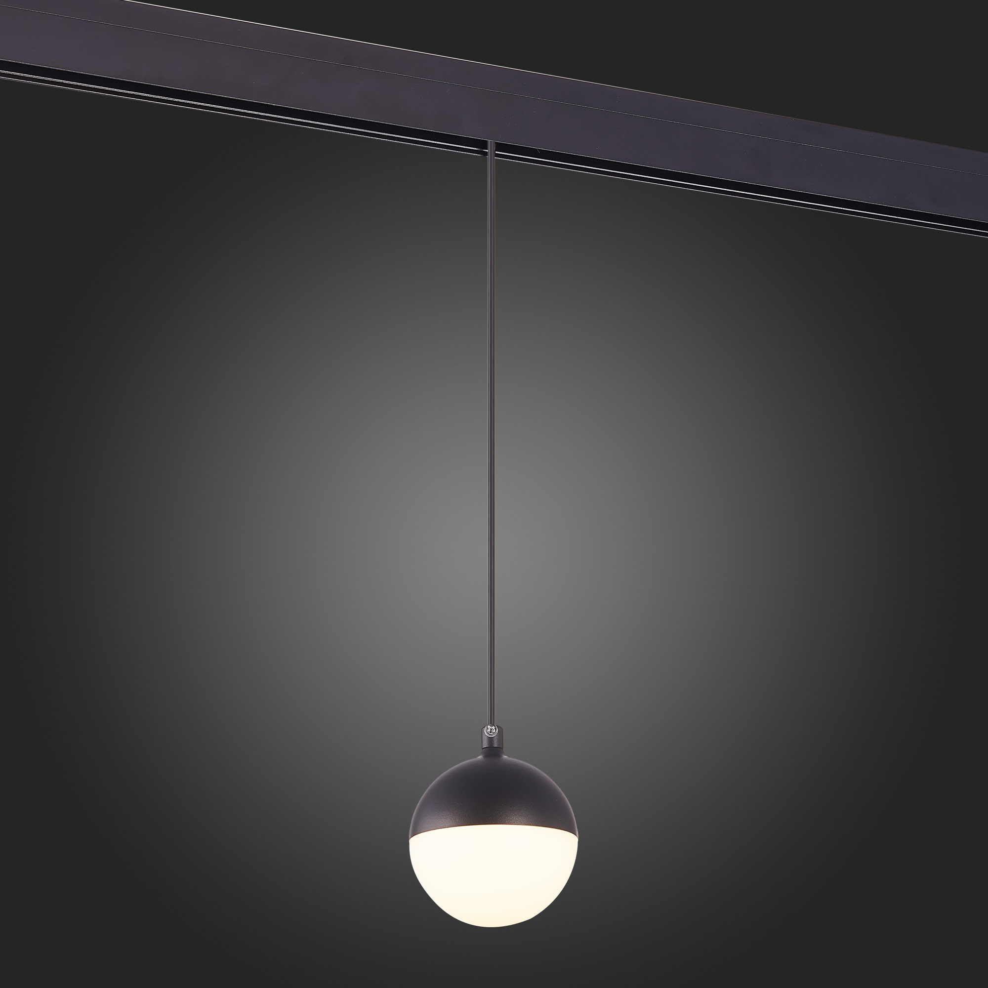 Трековый светильник ST Luce Pibole ST358.433.07 в Москве