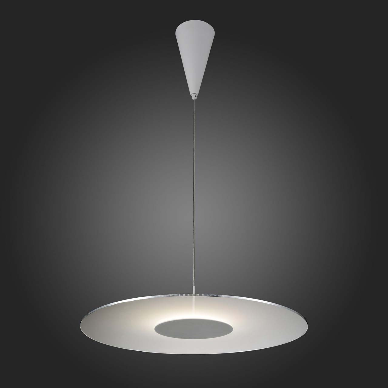 Уличный подвесной светодиодный светильник ST Luce SL925.503.01