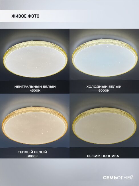 Потолочный светильник Seven Fires Эйри 48013.45.72.77YL