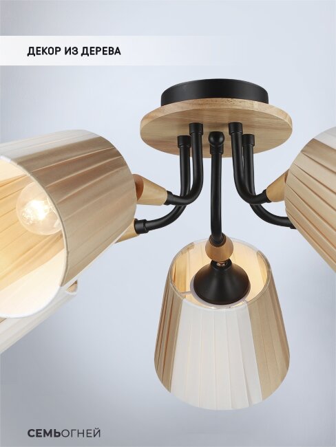 Потолочная люстра Wedo Light Vilmos WD3583/5C-BK-BG