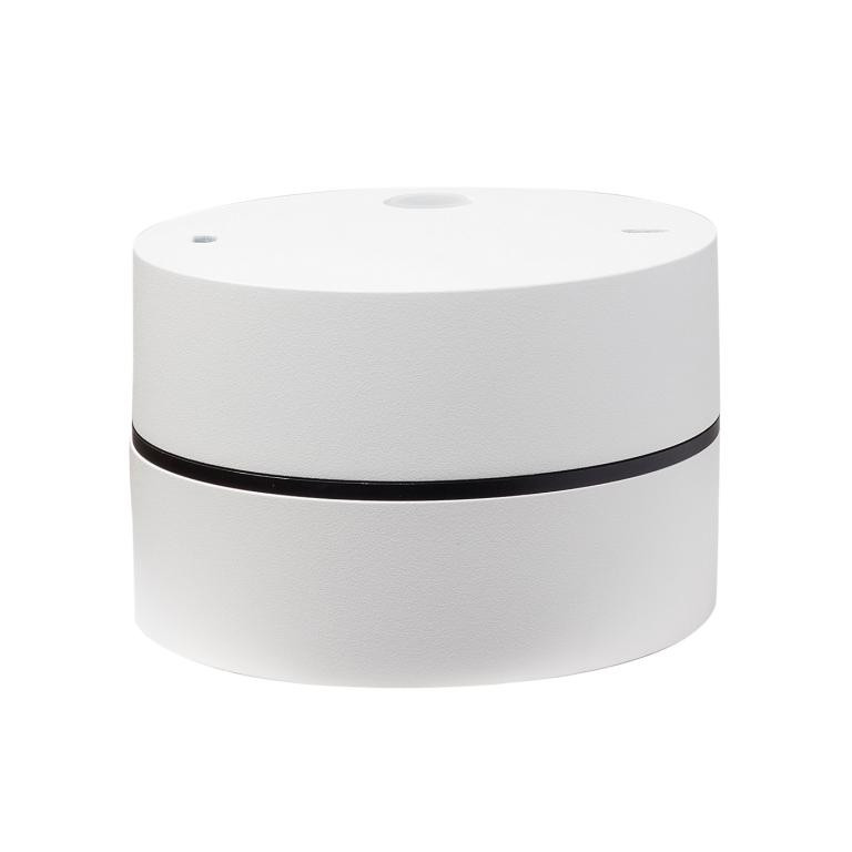 Влагозащищенный светильник LeDron BARREL MINI White 00000013797