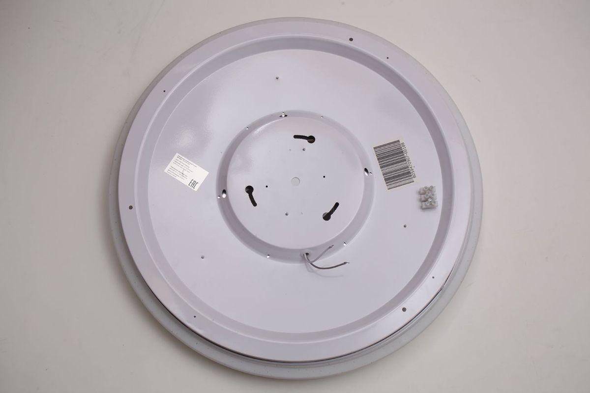 Потолочный светодиодный светильник Escada 10219/S LED