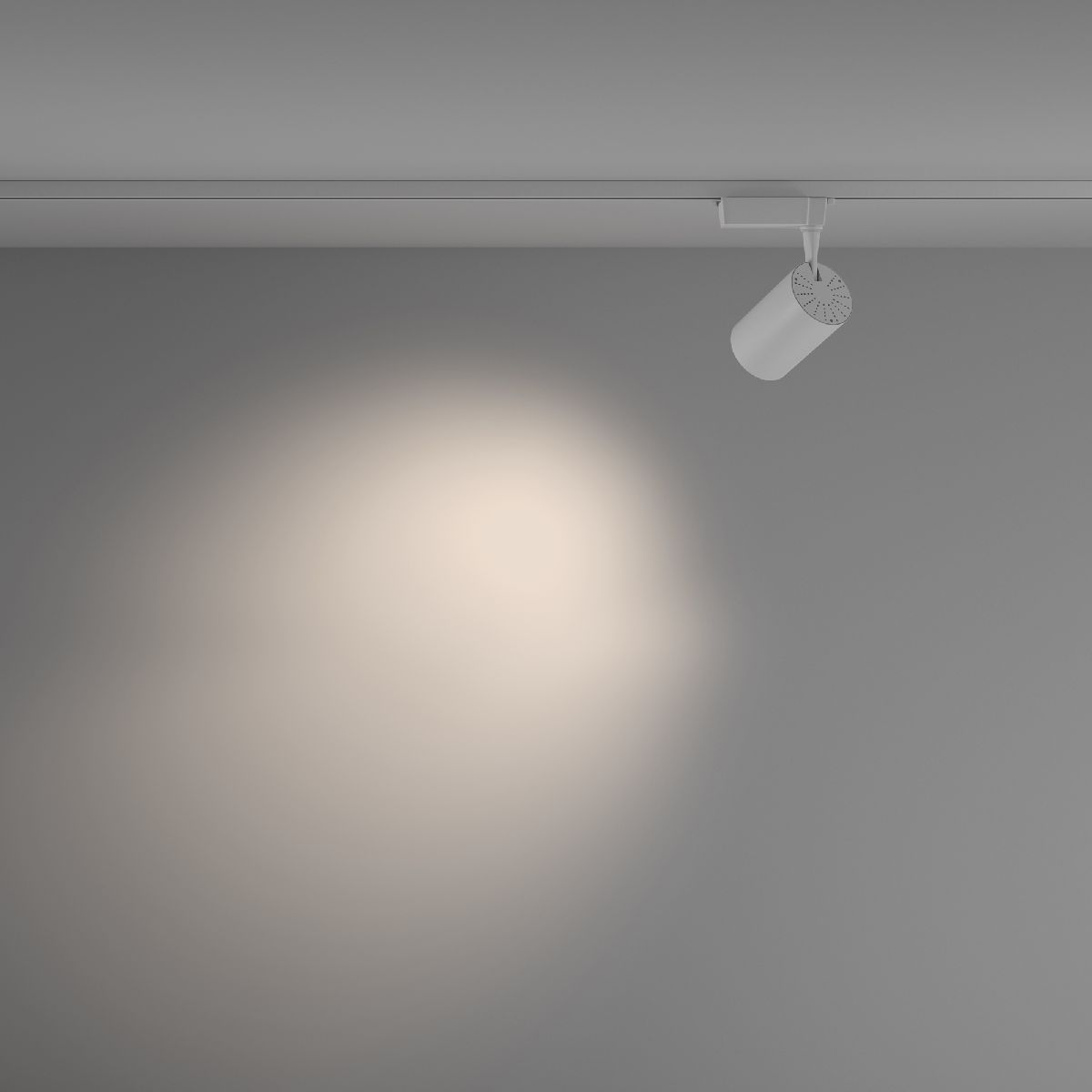 Трековый светильник Maytoni Technical Vuoro TR003-1-26W4K-M-W