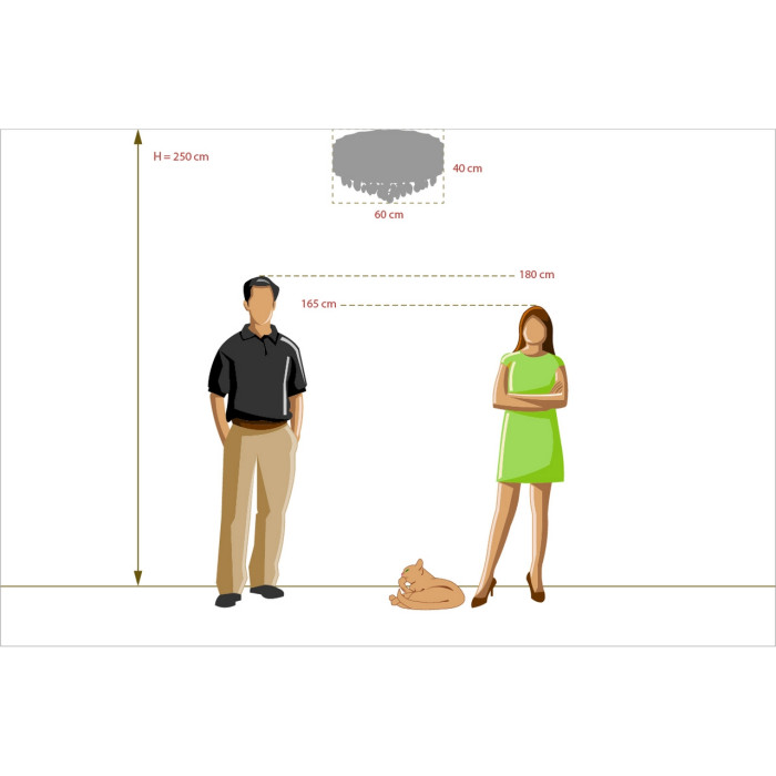 Потолочная люстра MW-Light Жаклин 6 465012718