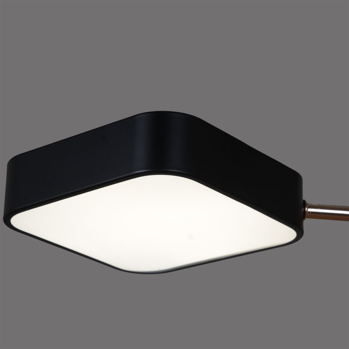 Люстра на штанге Reluce 03360-0.3-05 BK+FGD