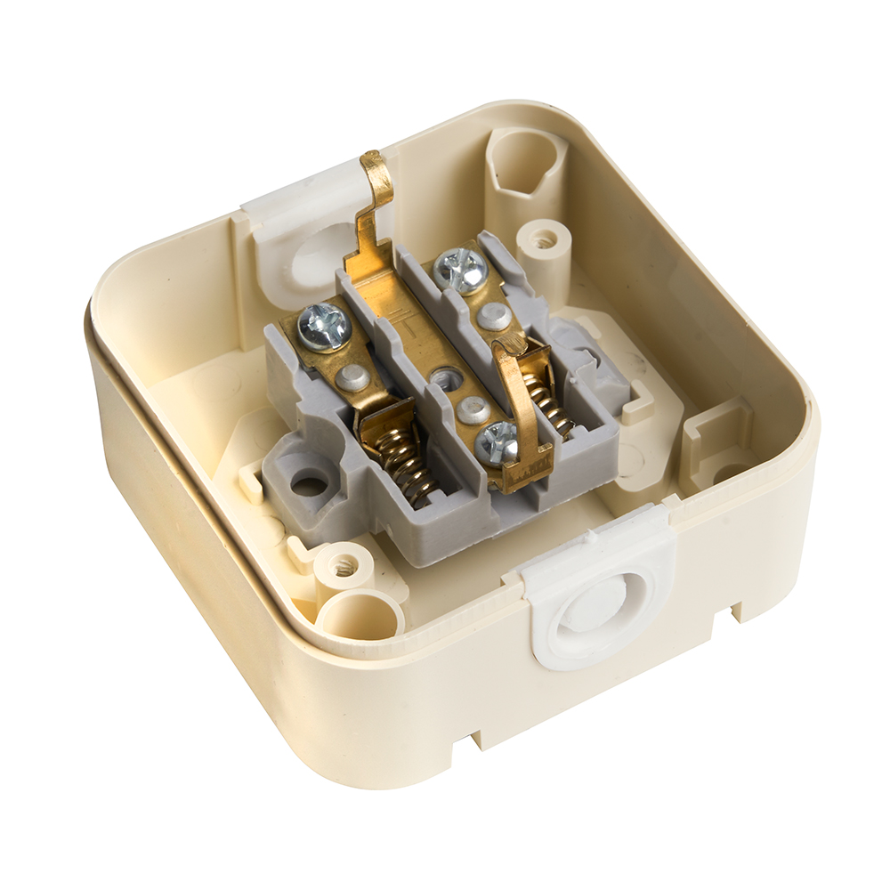 Розетка 1-местная с/з с крышкой Stekker Брест 49058