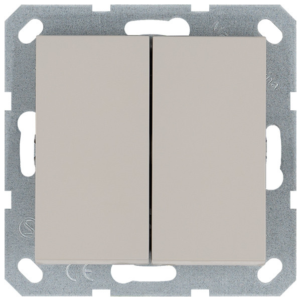 Выключатель двухклавишный проходной Jasmart 10A 250V с накладкой G3022T